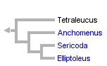 taxon links