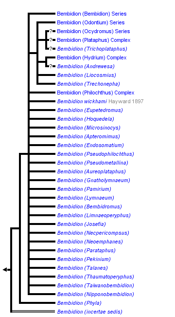 taxon links