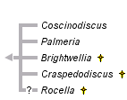 taxon links