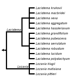 taxon links