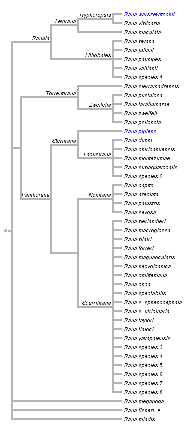 taxon links