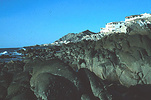 photograph of large rocks in intertidal zone